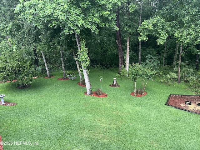 1304 Hideaway Dr S, Saint Johns, FL 32259 - view of green lawn