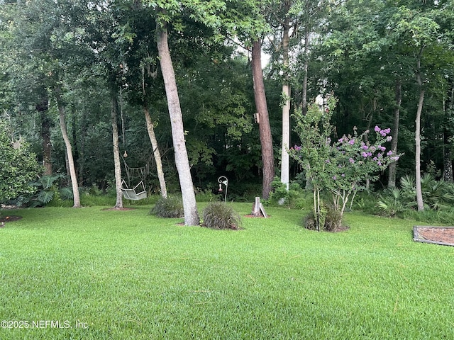 1304 Hideaway Dr S, Saint Johns, FL 32259 - view of green lawn