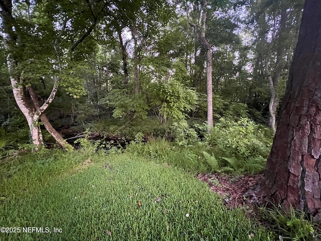 1304 Hideaway Dr S, Saint Johns, FL 32259 - view of wooded area