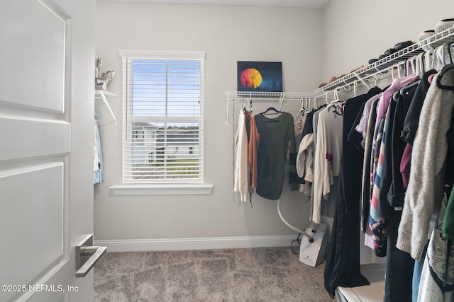 201 Bridgeton St, Saint Johns, FL 32259 - walk in closet featuring carpet