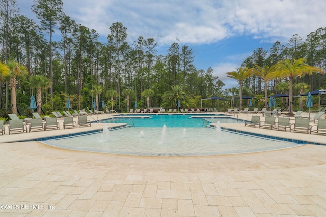 201 Bridgeton St, Saint Johns, FL 32259 - pool with a patio