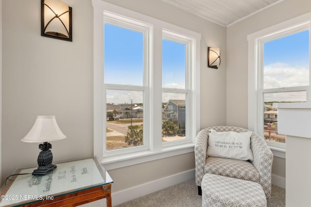 sitting room featuring baseboards, carpet, and a wealth of natural light