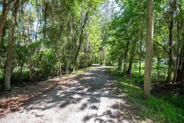 8209 Colee Cove Branch Rd, Saint Augustine, FL 32092 - photo 6
