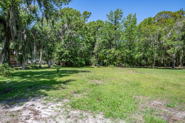 8209 Colee Cove Branch Rd, Saint Augustine, FL 32092 - photo 7