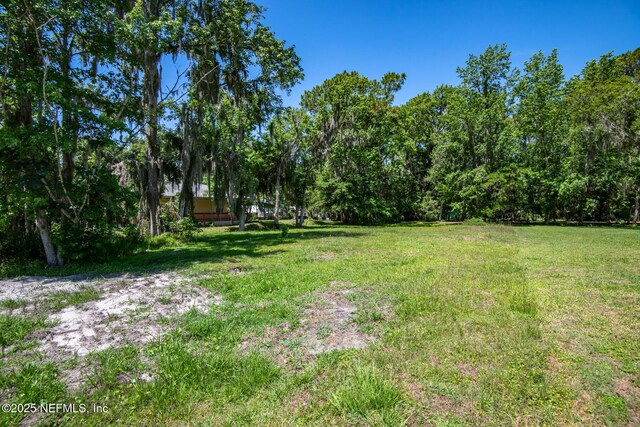 8209 Colee Cove Branch Rd, Saint Augustine, FL 32092 - photo 10