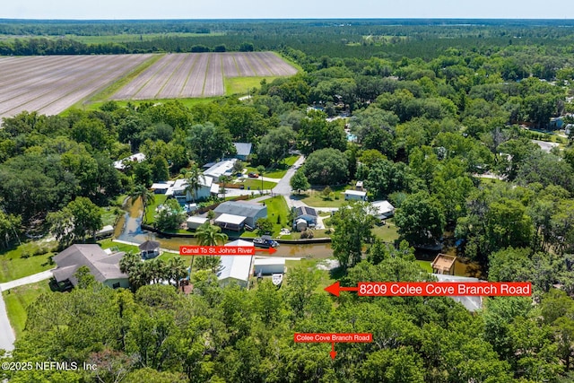 8209 Colee Cove Branch Rd, Saint Augustine, FL 32092 - photo 4