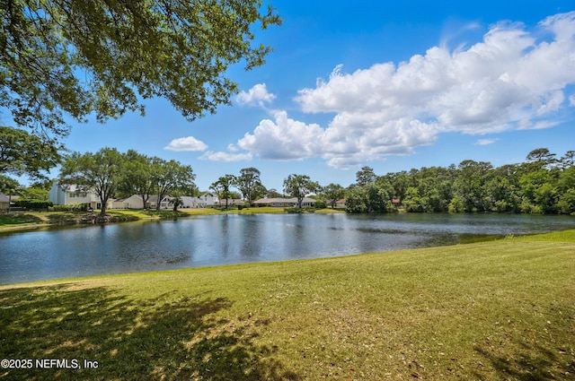 14110 Drakes Point Dr, Jacksonville, FL 32224 - photo 31