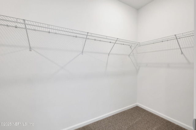 37 Bird Watch Ct, Saint Augustine, FL 32092 - walk in closet with dark carpet