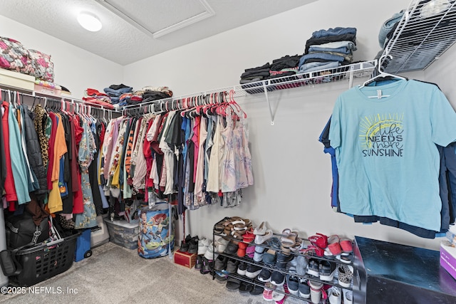 513 Sandstone Dr, Saint Augustine, FL 32086 - spacious closet featuring carpet and attic access