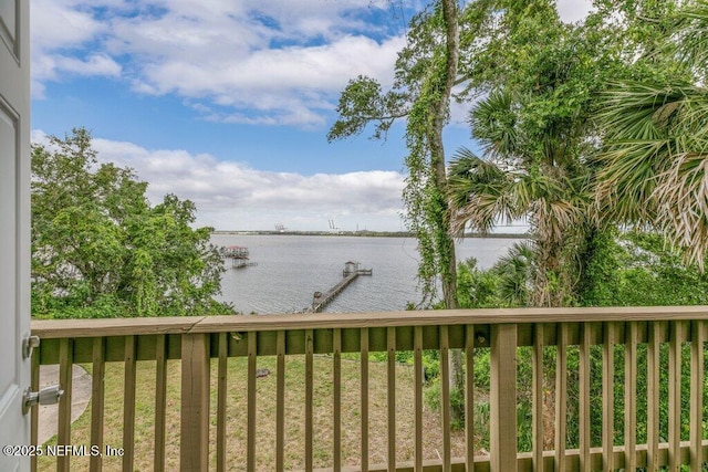 3947 Sarah Brooke Ct, Jacksonville, FL 32277 - photo 29