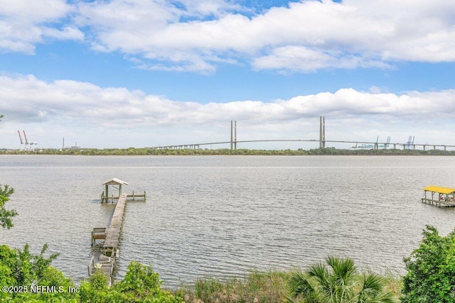 3947 Sarah Brooke Ct, Jacksonville, FL 32277 - photo 81