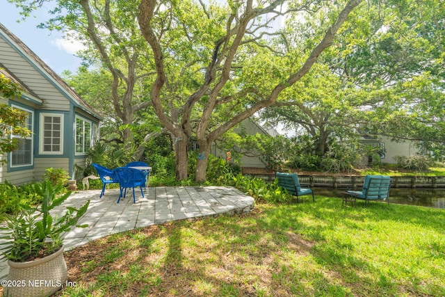 view of yard with a patio area