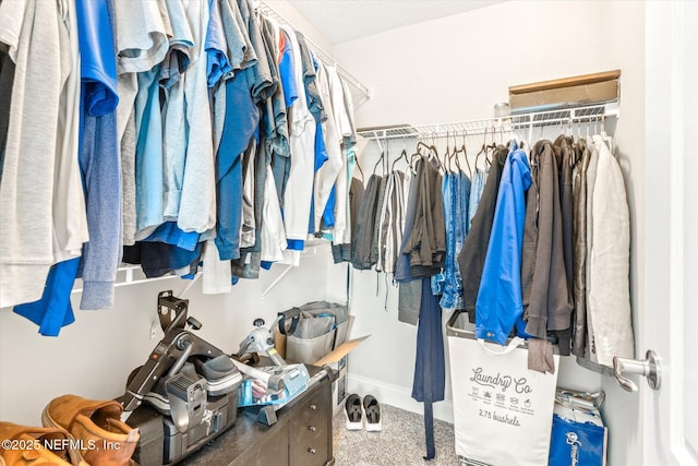 53 Dovetail Cir, Saint Augustine, FL 32095 - view of walk in closet