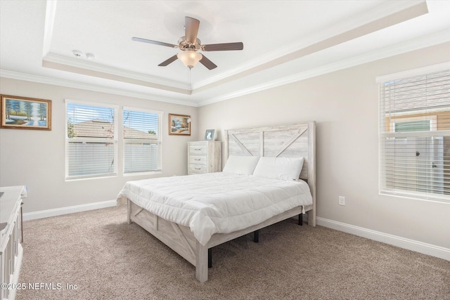 53 Dovetail Cir, Saint Augustine, FL 32095 - bedroom featuring a tray ceiling, ornamental molding, baseboards, and light carpet