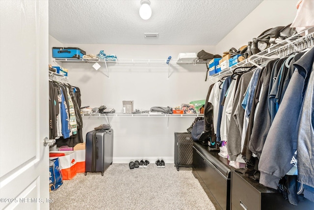 53 Dovetail Cir, Saint Augustine, FL 32095 - spacious closet with visible vents and carpet flooring