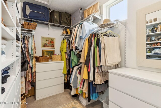 spacious closet featuring carpet floors and attic access