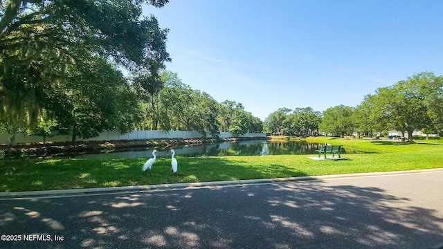 1105 Pine Mill Ln, Ponte Vedra Beach, FL 32082 - surrounding community featuring a water view and a yard