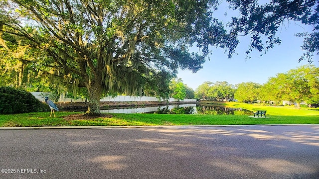 1105 Pine Mill Ln, Ponte Vedra Beach, FL 32082 - view of community with a water view and a yard