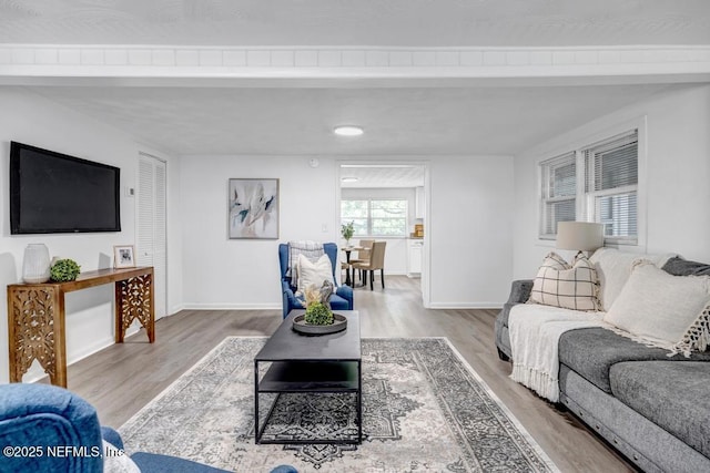 1059 Little Ruth Rd, Green Cove Springs, FL 32043 - living area with baseboards, wood finished floors, and beamed ceiling
