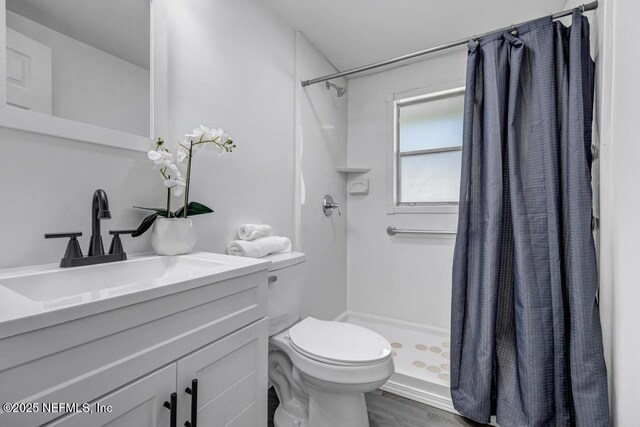 1059 Little Ruth Rd, Green Cove Springs, FL 32043 - full bathroom featuring vanity, a shower stall, toilet, and wood finished floors