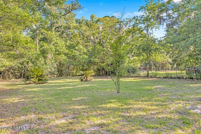 1059 Little Ruth Rd, Green Cove Springs, FL 32043 - view of yard with fence
