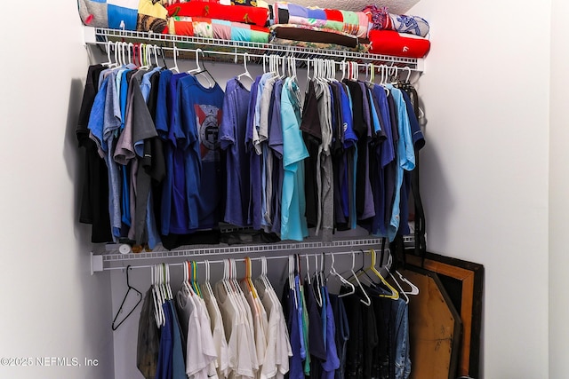 view of spacious closet