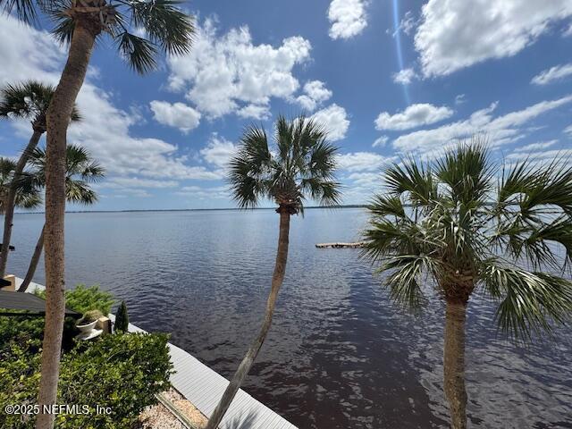 2199 Astor St Unit 205, Orange Park, FL 32073 - photo 5