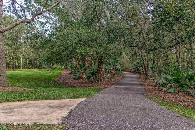 149 San Telmo Ct, Saint Augustine, FL 32095 - photo 53