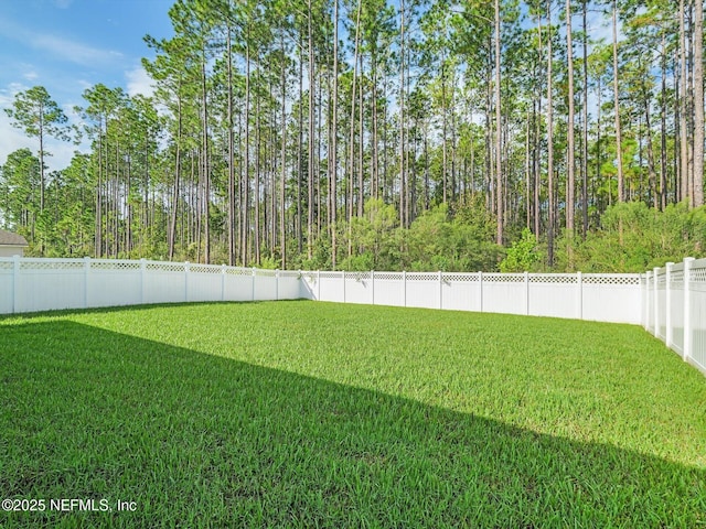 306 Glasgow Dr, Saint Johns, FL 32259 - photo 37