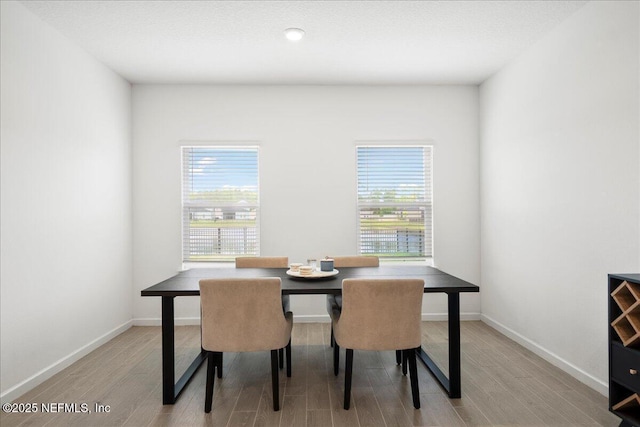 115 Beauclair Blvd, Saint Augustine, FL 32084 - dining space with baseboards, a wealth of natural light, and light wood finished floors