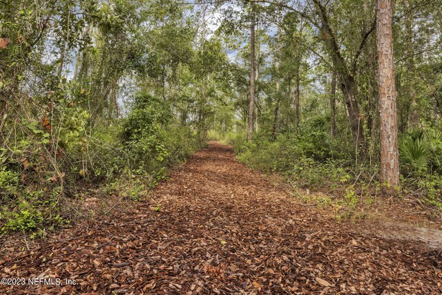 950 Rooster Hallow Way, Middleburg, FL 32068 - view of landscape featuring a view of trees