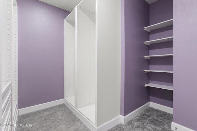 walk in closet featuring carpet