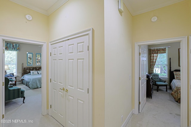 3666 Cypress Point Ct, Green Cove Springs, FL 32043 - corridor with light colored carpet, ornamental molding, and baseboards