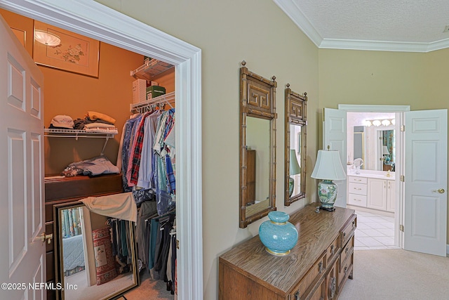 3666 Cypress Point Ct, Green Cove Springs, FL 32043 - corridor with carpet flooring, ornamental molding, and a textured ceiling