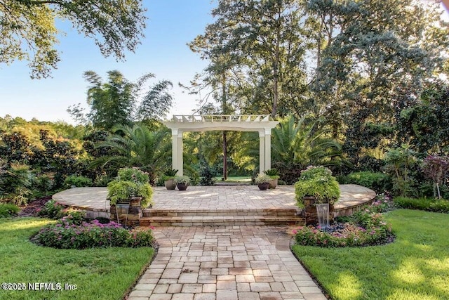 view of property's community with a patio and a lawn
