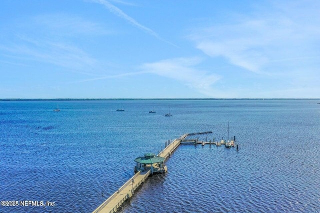 water view with a dock