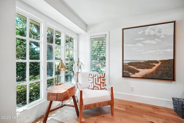 sunroom with baseboards and wood finished floors