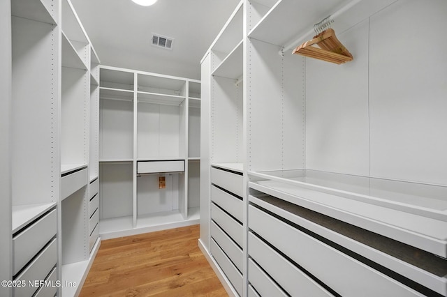 walk in closet with visible vents and light wood-style floors