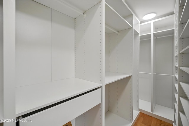 walk in closet featuring light wood-style floors