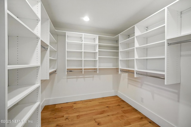 spacious closet featuring light wood finished floors