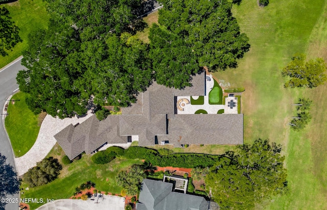 bird's eye view