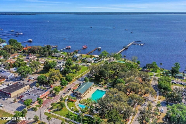 3593 Long Cove Ct, Green Cove Springs, FL 32043 - drone / aerial view with a water view