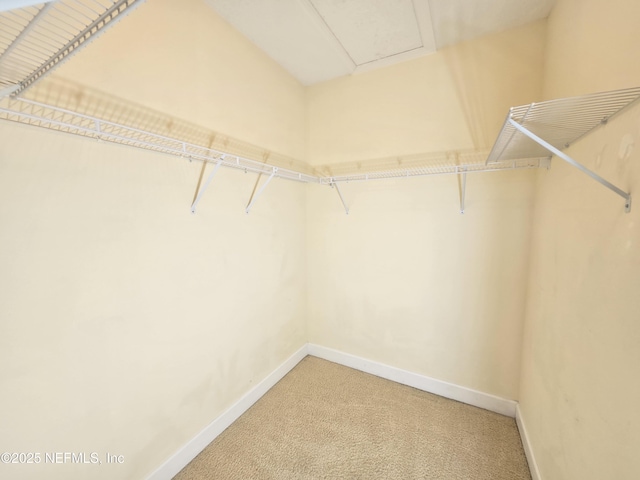 spacious closet featuring light colored carpet