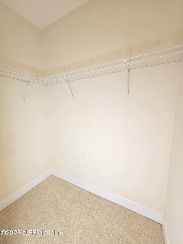 spacious closet with carpet