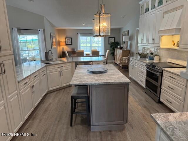 kitchen with a kitchen island, custom range hood, a sink, glass insert cabinets, and stainless steel appliances