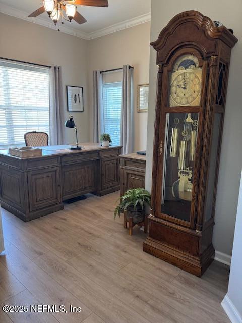 office area featuring crown molding, a ceiling fan, baseboards, and light wood-style floors