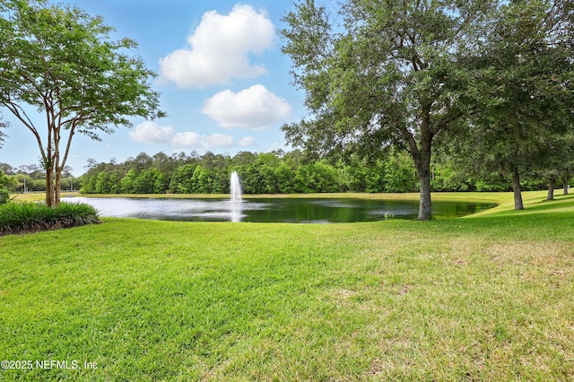 13964 Berryview Rd, Jacksonville, FL 32258 - photo 34