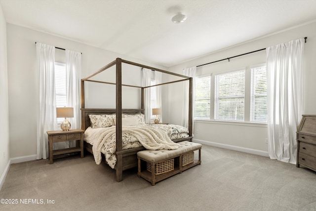 bedroom featuring carpet floors, baseboards, and multiple windows