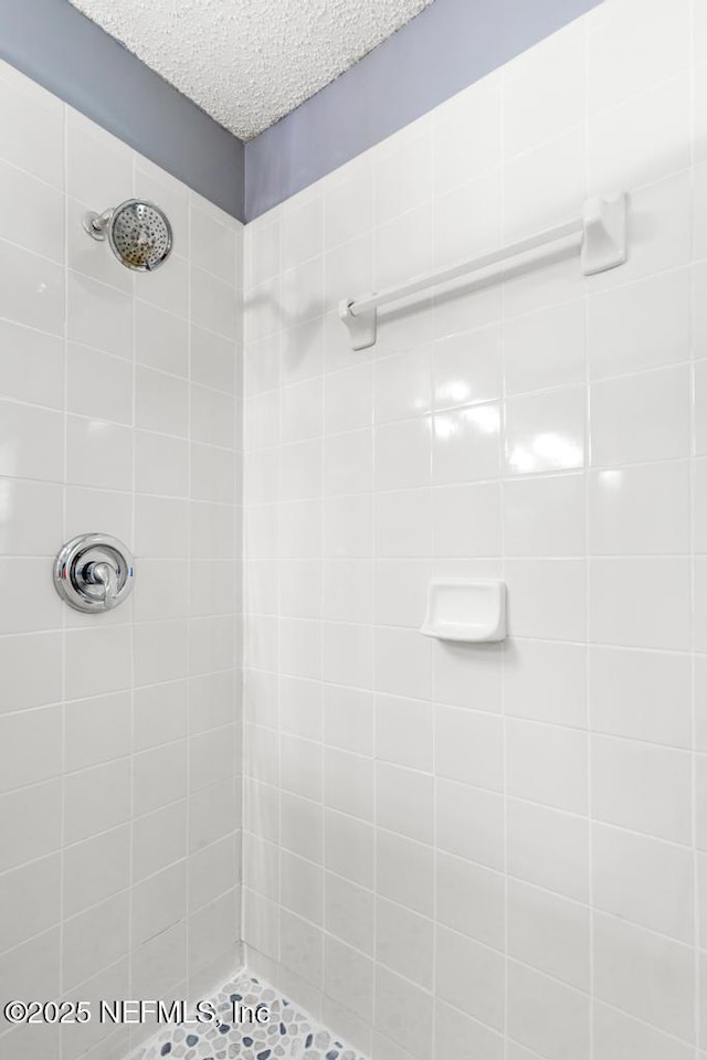 32238 Settlers Ridge Dr, Bryceville, FL 32009 - bathroom with a tile shower and a textured ceiling