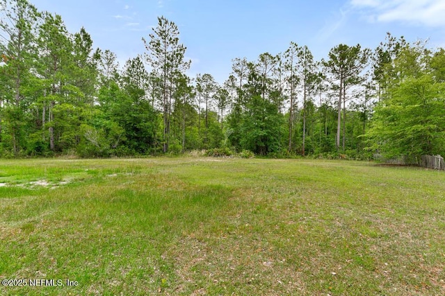 32238 Settlers Ridge Dr, Bryceville, FL 32009 - view of yard featuring a wooded view and fence